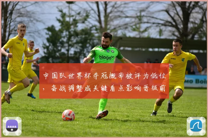 中国队世界杯夺冠概率被评为低位，备战调整成关键看点影响晋级前景
