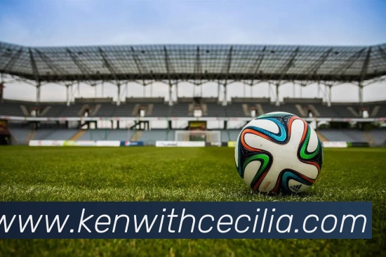 App Interface Preview